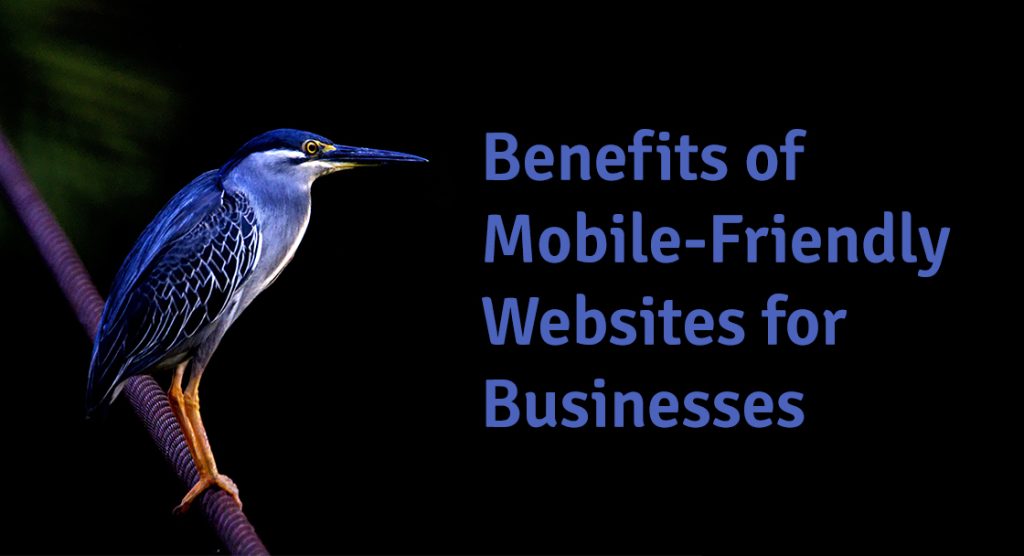 Why a Mobile-Friendly Website is Important for Your Business