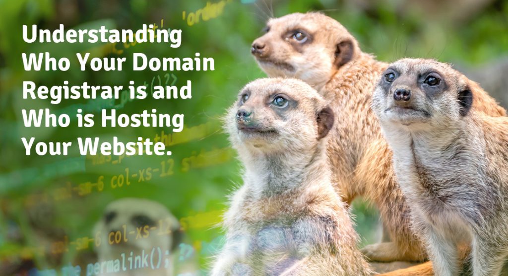 Understanding who your domain registrar is and who is hosting your website